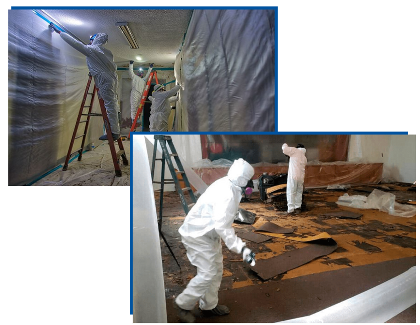 Asbestos, Lead & Mold Specialists